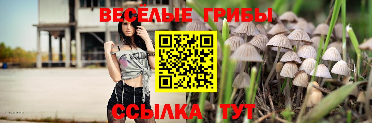 Меф Красноярск